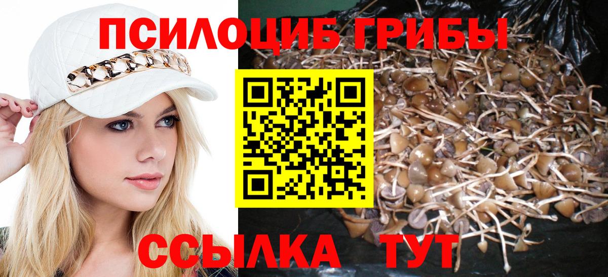 Псилоцибиновые грибы мицелий Новый Уренгой