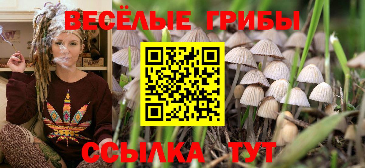 Новый Уренгой  Галлюциногенные грибы Psilocybe  Вход с VPN  купить наркоту  Галлюциногенные грибы Psilocybe 
